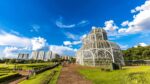 Fotografia ampla do Jardim Botânico de Curitiba em um dia ensolarado. A imagem mostra o jardim em primeiro plano, com um caminho de pedra claro levando em direção à estufa de vidro, o principal destaque do local. A estufa, com sua estrutura de metal branco e curvas ornamentadas, se destaca contra o céu azul com nuvens brancas. Pessoas caminham pelo jardim e pela trilha, e ao fundo, prédios altos e a vegetação exuberante do parque podem ser vistos.