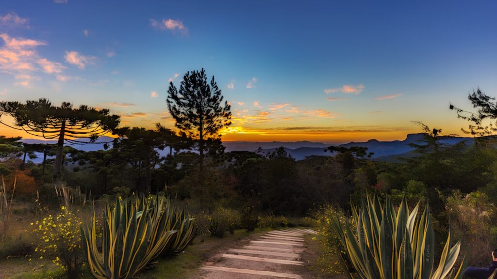 Claro! A imagem é uma paisagem ao entardecer ou amanhecer, com uma atmosfera serena e cores vibrantes no céu. Em primeiro plano, uma passarela de tábuas de madeira clara conduz o olhar para o centro da imagem, subindo levemente. De cada lado da passarela, há grandes plantas de agave com folhas verdes espessas e bordas amarelas bem definidas, que se destacam. Entre as agaves, podem-se ver pequenas flores amarelas espalhadas pelo chão. No plano médio, há uma diversidade de árvores e vegetação. Uma árvore mais alta, escura e de copa afilada, possivelmente um pinheiro, está em silhueta contra a parte mais clara do céu, onde o sol está se pondo ou nascendo. À esquerda e um pouco mais ao fundo, distinguem-se as silhuetas das copas características de araucárias. A vegetação é densa, formando uma massa escura que contrasta com o céu. Ao fundo, uma cadeia de montanhas em tons de azul escuro e roxo se estende horizontalmente, com seus contornos suavizados pela distância. O céu domina a parte superior da imagem e é o destaque cromático. Próximo ao horizonte, há uma faixa intensa de laranja e amarelo, indicando a posição do sol. Acima dessa faixa, o céu transita para tons de azul mais suave, com algumas nuvens alongadas e esparsas que refletem as cores quentes do sol poente ou nascente.
