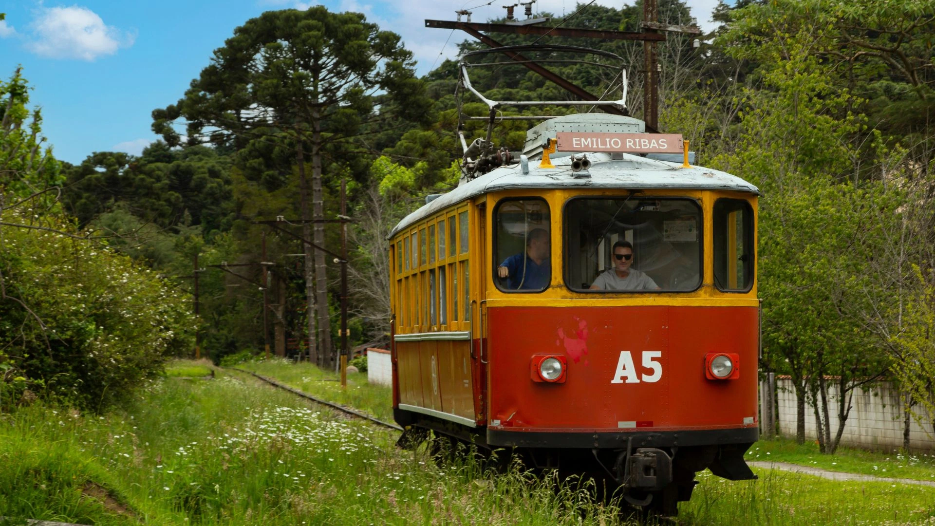 Um bonde elétrico antigo, de cores amarela e vermelha, circula por uma trilha cercada de vegetação densa e araucárias.
